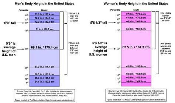 Average Female Height in the United States: A Comprehensive Guide